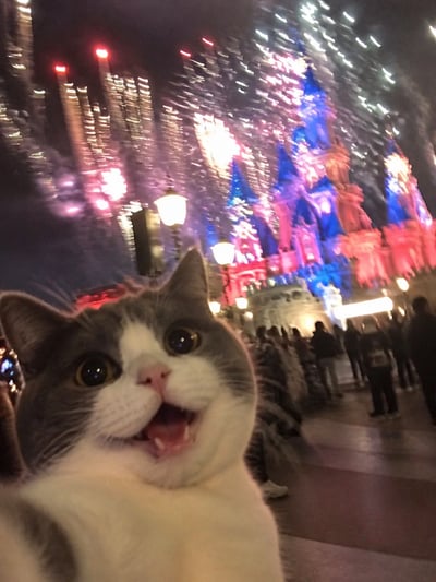 Magical Castle Fireworks